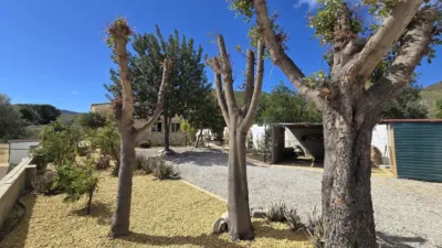 Villa in Cantoria photo 21