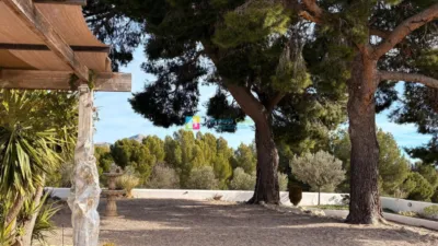 Rustic Finca in Chirivel photo 7