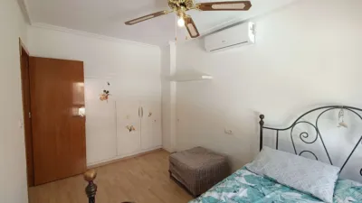 Chalet in Algorfa photo 15