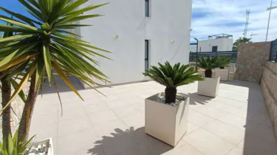Chalet en Algorfa photo 41