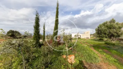 House in L'Esgleieta photo 41
