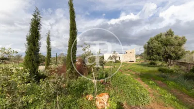 House in L'Esgleieta photo 42