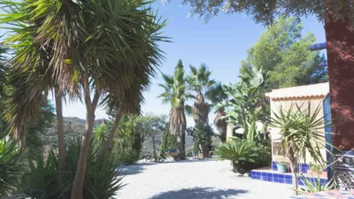 Apartment in Canillas de Albaida photo 21