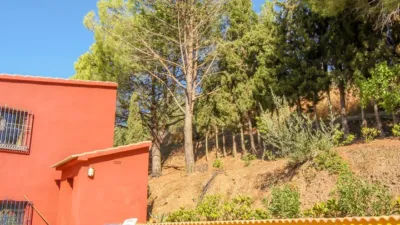 Apartment in Canillas de Albaida photo 25