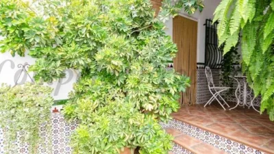 House in Canillas de Albaida photo 14
