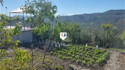Rustic Finca in Aldea Ermita Nueva photo 15