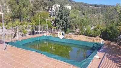 Rustic Finca in Aldea Ermita Nueva photo 3