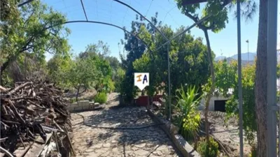 Rustic Finca in Aldea Ermita Nueva photo 5