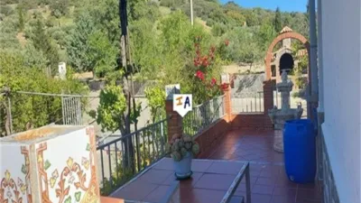 Rustic Finca in Aldea Ermita Nueva photo 6