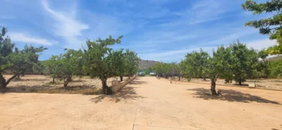 Casa - Vista 5