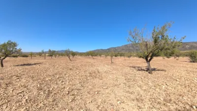 Terreno en venta en Monòver - Monóvar - Vista 2