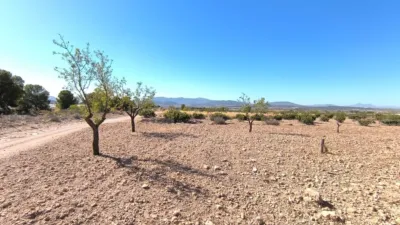 Terreno en venta en Monòver - Monóvar - Vista 3
