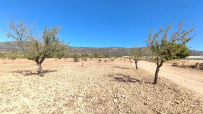 Terreno en venta en Monòver - Monóvar - Vista 4