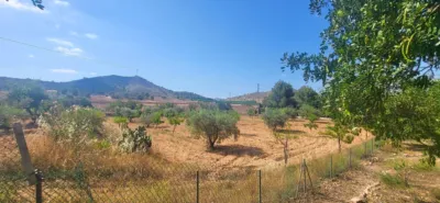 House in El Fondó de les Neus - Hondón de las Nieves photo 19