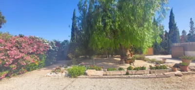 House in Novelda photo 11