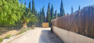House in Novelda photo 22