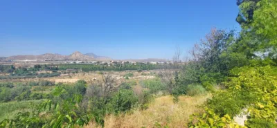 House in Novelda photo 8