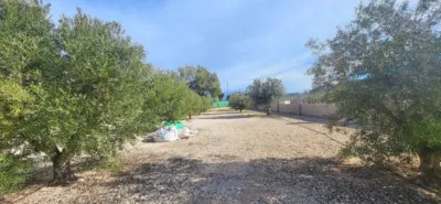 Finca rústica en Monòver - Monóvar photo 5