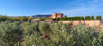 Chalet in El Pinós - Pinoso photo 25