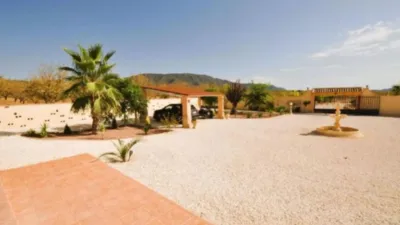 Chalet in El Pinós - Pinoso photo 37