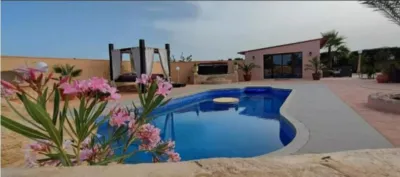 Chalet in El Pinós - Pinoso photo 49