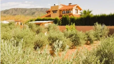 Chalet in El Pinós - Pinoso photo 8