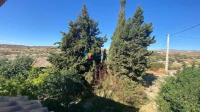 Rustic finca in Huércal-Overa photo 25