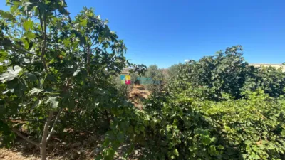 Rustic finca in Huércal-Overa photo 26