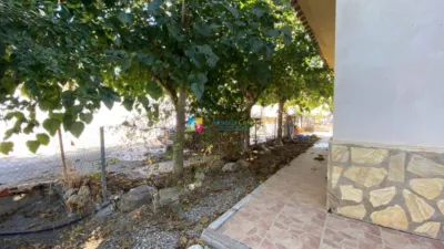 Rustic finca in Huércal-Overa photo 32