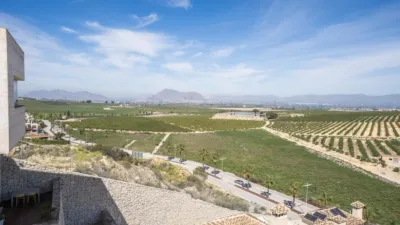 House in Algorfa photo 27