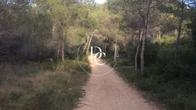 Rustic Finca in Castellet i la Gornal photo 8