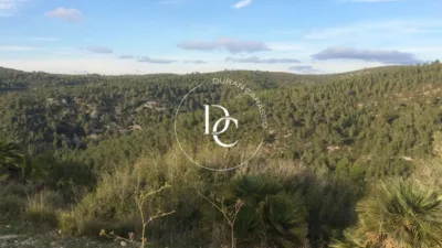 Rustic Finca in Castellet i la Gornal photo 13