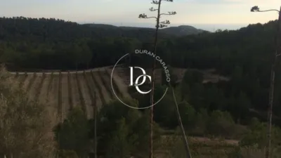 Rustic Finca in Castellet i la Gornal photo 15