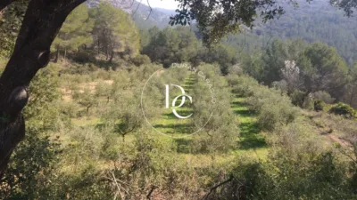 Rustic Finca in Castellet i la Gornal photo 3