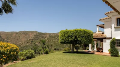 Finca rústica en Istán photo 31