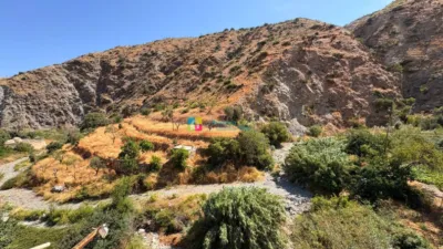 House in Sierro photo 47