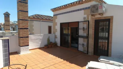 Chalet in Algorfa photo 11