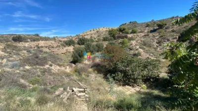 Rustic finca in Oria photo 42