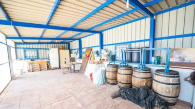 Rustic Finca in Cantoria photo 39
