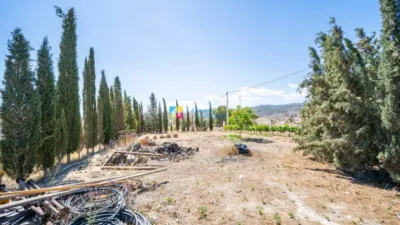 Rustic Finca in Cantoria photo 40