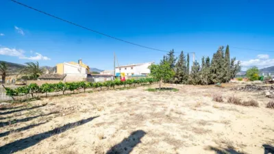 Rustic Finca in Cantoria photo 41