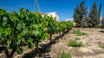 Rustic Finca in Cantoria photo 42