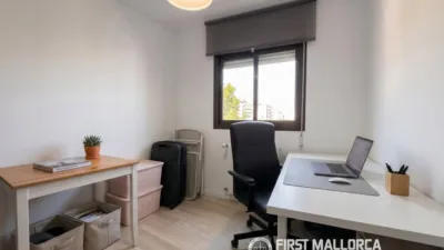 Apartment in Santa Ponsa photo 16