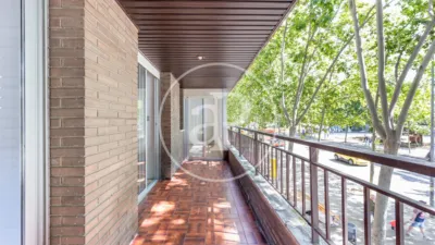 Apartment in Terrassa photo 10