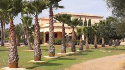 Rustic Finca in Santanyí photo 26