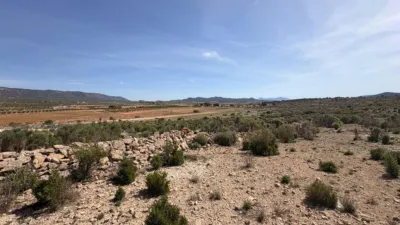 Terreno en venta en El Pinós - Pinoso - Vista 3