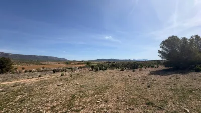 Terreno en venta en El Pinós - Pinoso - Vista 5