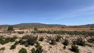 Terreno en venta en El Pinós - Pinoso - Más
