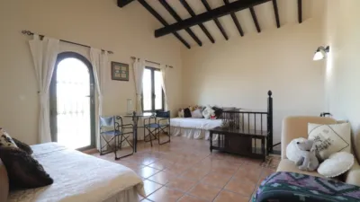 Rustic Finca in Albatera photo 25