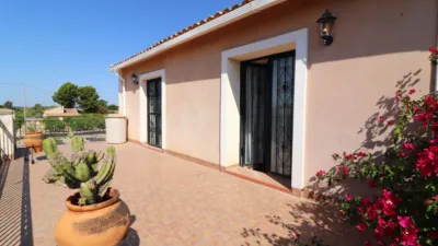 Rustic Finca in Albatera photo 28
